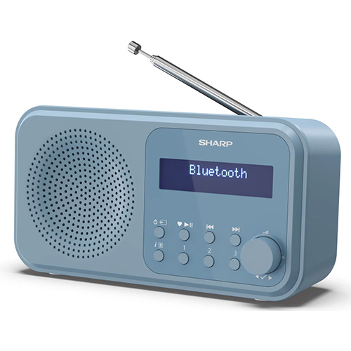 (image for) Sample of Product Music Type